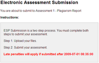 Submit Assessment Instructions